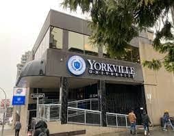 Yorkville University