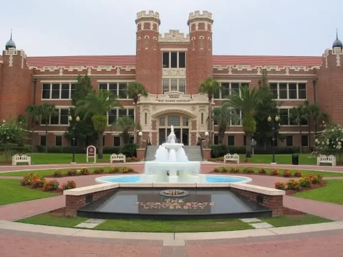 University of South Florida University of South Florida