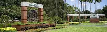 University of South Florida University of South Florida